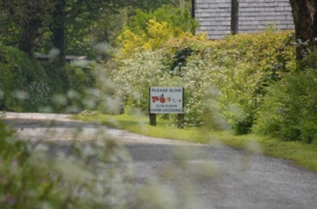 The Hideaway Holiday